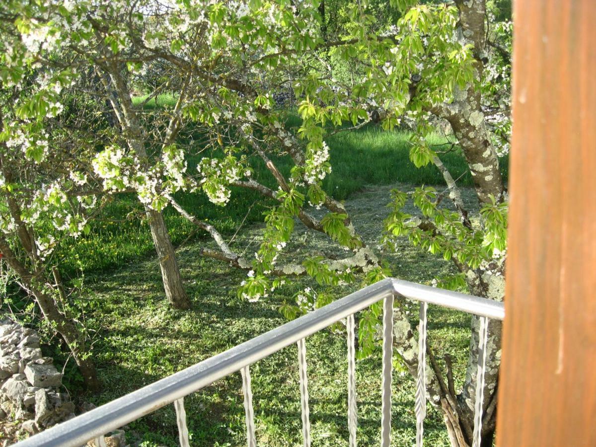 Apartmán Antonia & Arian Roč Exteriér fotografie